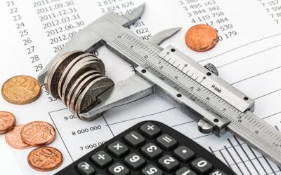 rentabilité des SCPI