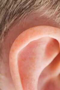 Photo détaillée en gros plan d'une oreille humaine présentant la texture de la peau et des cheveux.